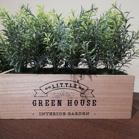Green House Aveiro Exterior foto